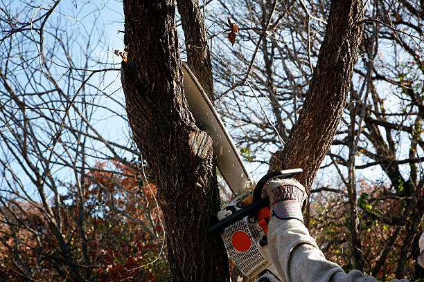 Best Commercial Tree Services  in Atlanta, TX